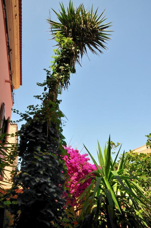 B&B L'Umbra Di Lu Soli Castelsardo Ngoại thất bức ảnh